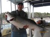 (04/02/2017) - Nice Striped Bass